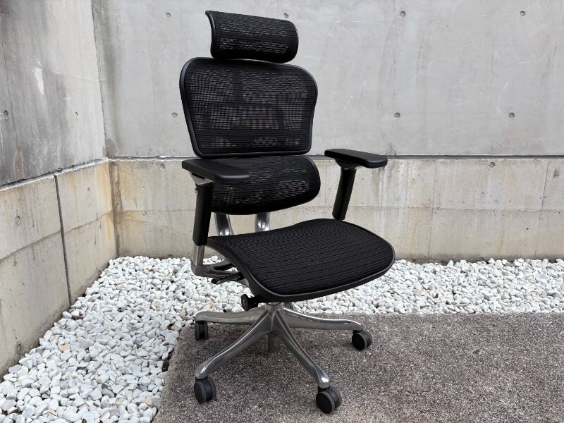 エルゴヒューマン プロチェア　ヘッドレスト付き　ブラック　中古_0